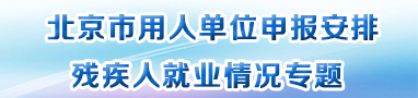 北京市用人单位申报安排残疾人就业情况